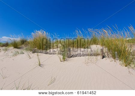 Alaior Cala Son Bou in Menorca dunes at Balearic islands