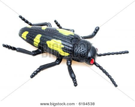 Beetle lelu