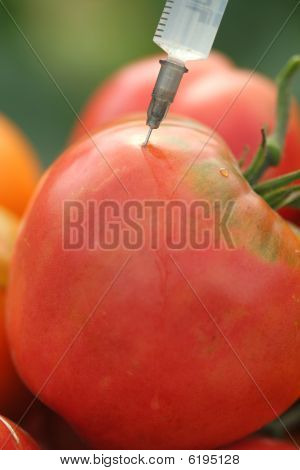 Tomaten-injection