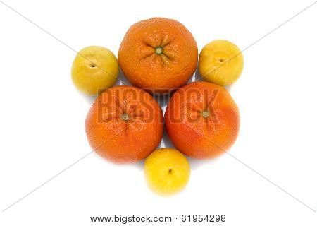 Fruit