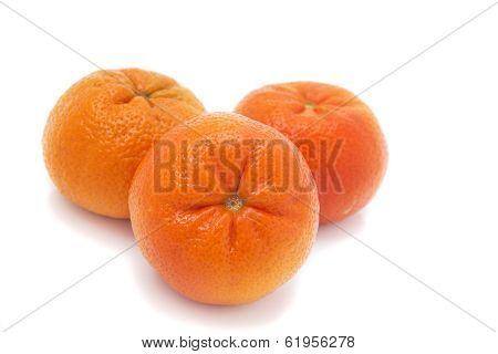 Oranges