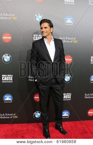 LOS ANGELES - MAR 20:  John Stamos at the 2nd Annual Rebels With A Cause Gala at Paramount Studios on March 20, 2014 in Los Angeles, CA