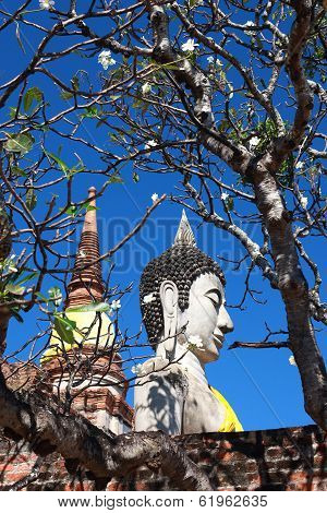 Yai Chai Mongkol Temple, Ayutthaya, Thailand