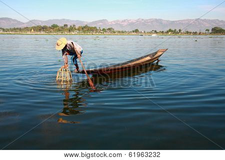 Fisherman Catches Fish For Food