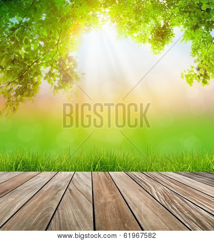 Fresh spring green grass and wood floor with green leaf , Summer time