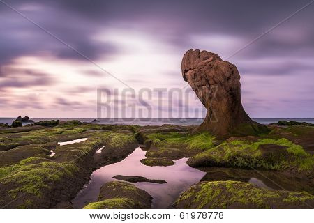 Ancient Rocks