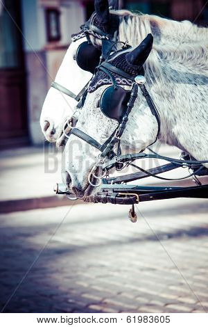 Traditional Horse-drawn Fiaker Carriage At Famous Hofburg Palace In Vienna, Austria