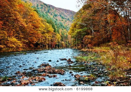 Pine Creek