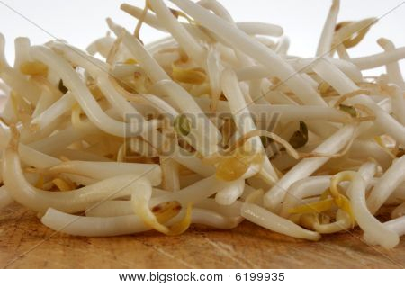 Alcuni germogli organici su una tavola di legno