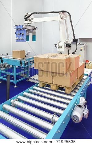 Robotic Palletizer