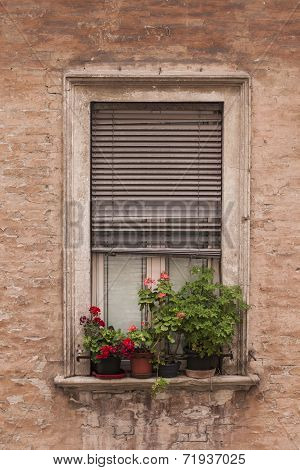 Old Window