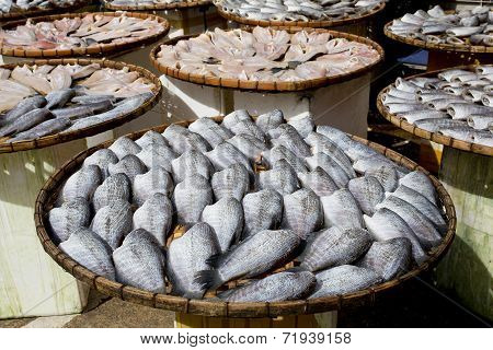 Sundry Snake Skin Gourami Fish In A Bamboo Basket. Thailand