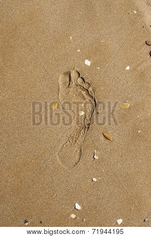 Foot step