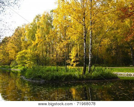 Autumn Landscape