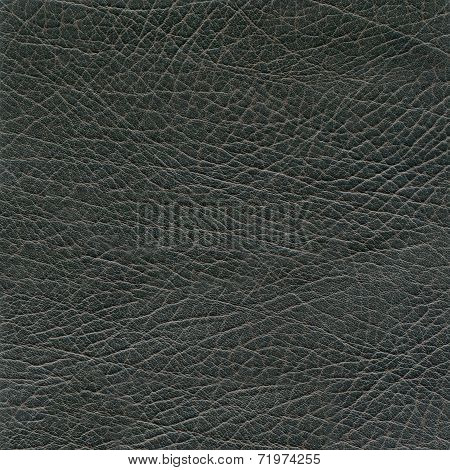 backgrounds of leather texture