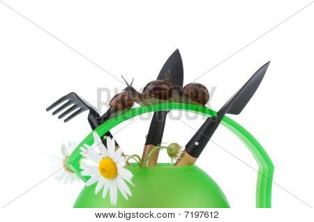 Garten Schnecke und Watering can