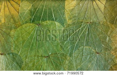 Grunge background of colorful heart shaped leaves