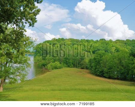 Campo dei sogni Lucious