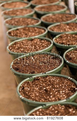 Planting Pots