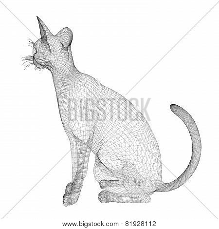 Cat Wire Model