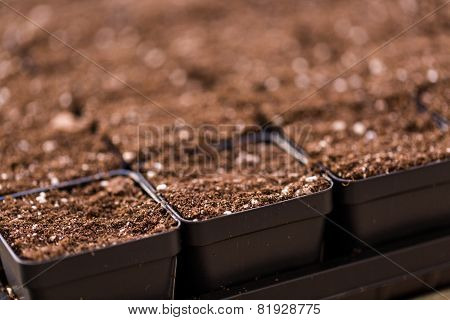 Planting Pots