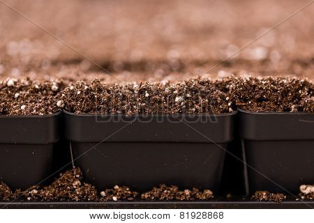 Planting Pots
