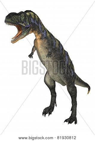 Dinosaur Aucasaurus