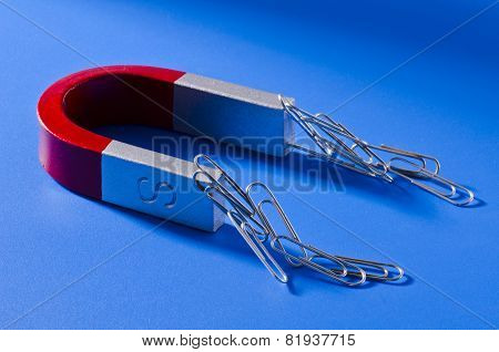 Horseshoe Magnet