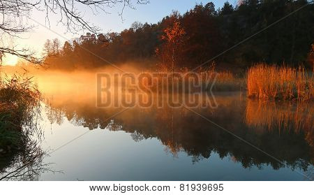 Morning Light Over The Lake A Foggy Morning