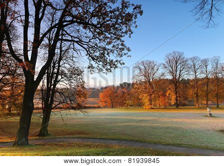 First Morning Light In The Park In October