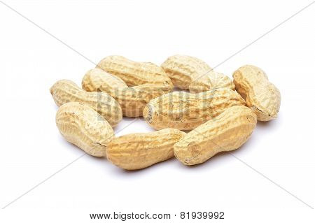 Penuts On A White Background