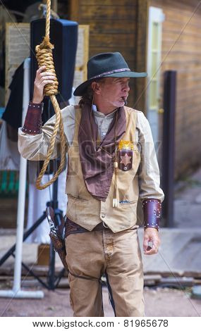 Tombstone Vigilante Days