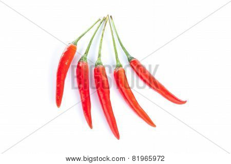 Red Hot Chili Peppers On White Background.