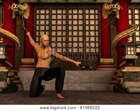 Kung Fu Warrior