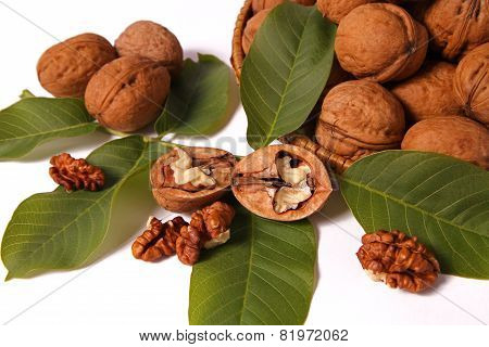 walnuts