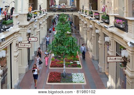 Artificial Trees And Balconies Decorated Bicycles In Gum Store