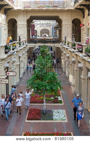 Artificial Trees And Walking People In Gum Store
