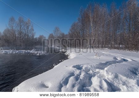 Winter Forest River Snow Water