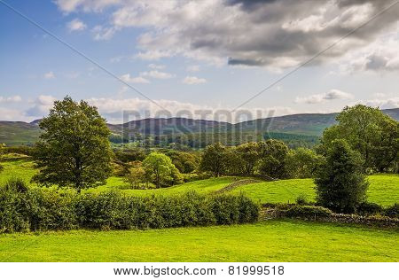 Green countryside landscape in Cumbria