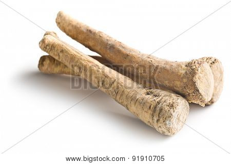 fresh horseradish root on white background