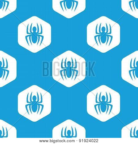 Spider hexagon pattern