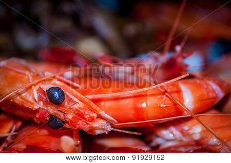 Freshly cooked tiger prawns