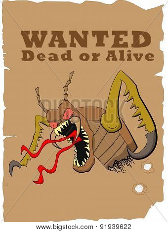 cockroach