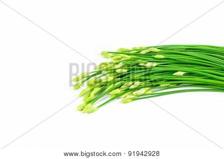 Garlic Chives Or Allium Tuberosum Isolated On White