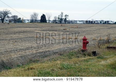 Fire Hydrants in an Agricultural Field