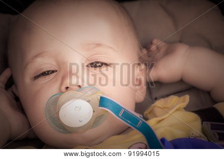Baby boy in a pushchair