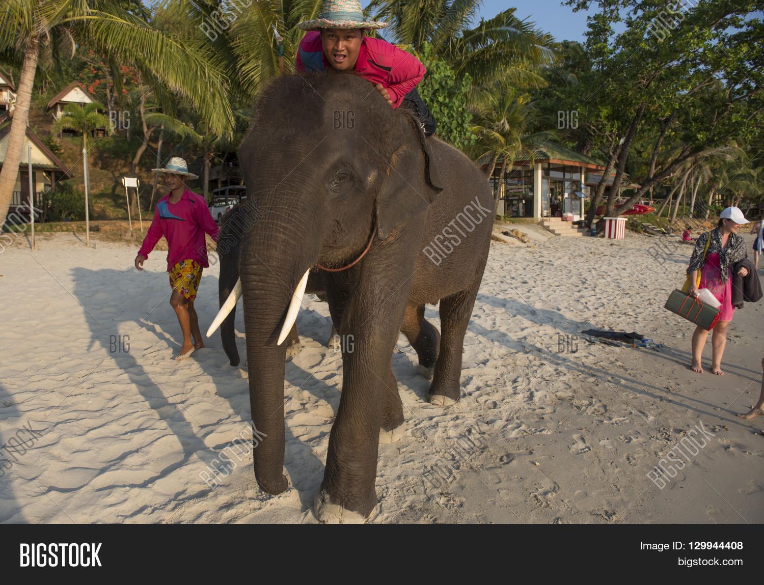KO CHANG, THAILAND - Image & Photo (Free Trial) | Bigstock