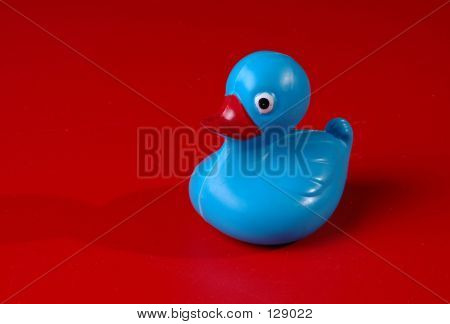 Blueduck