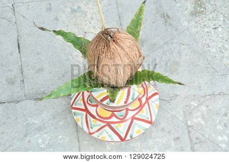 The Coconat On The Clay Pot With Tree Leaf