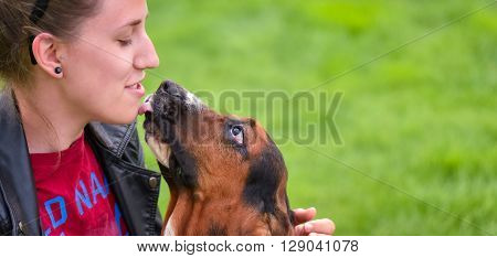 Young woman with an affectionate one year old Basset hound (Canis lupus familiaris) in the yard of a hobby farm.  Girl loves her dog, wet kisses from her one year old Basset hound.